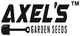 Organic Broccoli Seeds for Planting - 250 Heirloom Non GMO Seeds - Full Planting Instructions to Plant a Home Vegetable Garden, Great Gardening Gift, 2 Packets