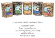 JCs Wildlife Bugs Nuts and Berries Premium Bird Seed Large Cylinder with Hole, 3.8 lb (4)
