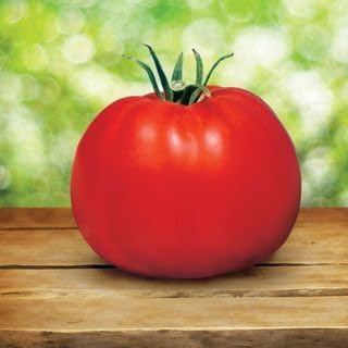 Park Seed Variety of Tomato Vegetable Seeds, Plant Seeds, Easy to Grow, Perfect for Harvesting, Whopper CR Improved Hybrid, Pack of 1000