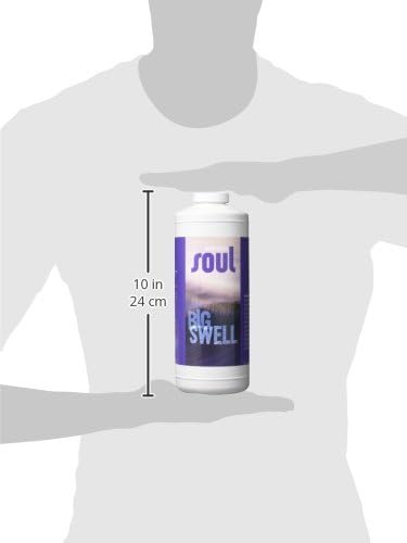 Roots Organics Soul Big Swell, Liquid Fertilizer for Hydroponics and Soil, 2-5-3, 1 Quart, (ROSSBSQ)