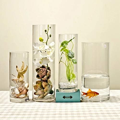 Kingbuy Wall Planter Terrarium Plant Propagation Station Glass Wall Vase for Home Kitchen Windowsill Decor, Plant Lover Gifts, Clear Medium Cylinder, 4 Pack