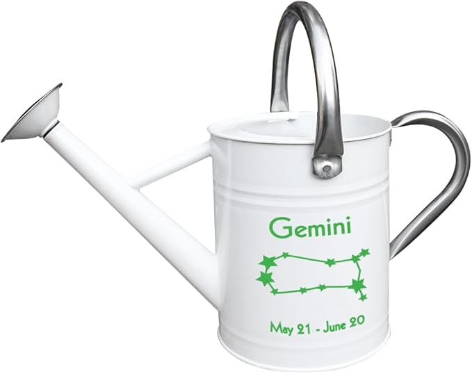 Metal Watering Can for Outdoor and Indoor Plants, Watering Can Decor, 1 Gallon (Gemini)
