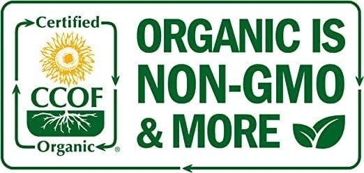 Organic Shishito Pepper Seeds (Approx. 55), 94% Germination Rate, Heirloom Vegetable Seeds, Certified Organic, Non GMO, Non Hybrid, USA