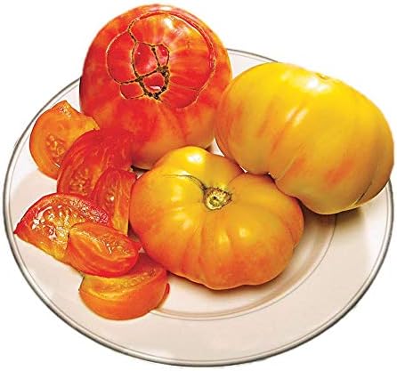 Park Seed Variety of Tomato Vegetable Seeds, Plant Seeds, Easy to Grow, Perfect for Harvesting, Pineapple, Pack of 30