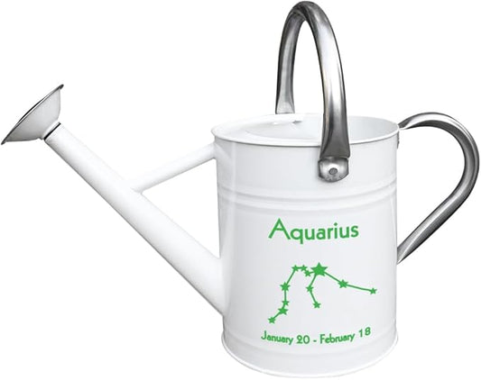 Metal Watering Can for Outdoor and Indoor Plants, Watering Can Decor, 1 Gallon (Aquarius)