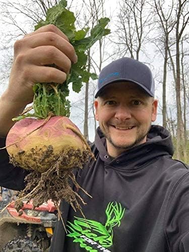 Sugar Rush | Select Seed Blends | Easiest Deer Feeder | Late Season Whitetail Deer Food Plot | No Till Turnip, Sugar Beet, Winfred Forage Brassica Seeds | Plants 1/2 Acre | 5 lb Bag