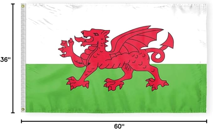 AGAS Wales Flag 3x5 ft 200D Nylon Fabric Double Stitched Canvas Header Brass Grommets Fade Resistant & Vivid Colors Can be Hung on Flagpole Outside or Indoors on a Wall