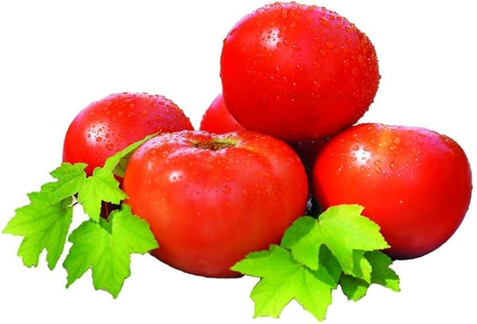Park Seed Variety of Tomato Vegetable Seeds, Plant Seeds, Easy to Grow, Perfect for Harvesting, Whopper CR Improved Hybrid, Pack of 30