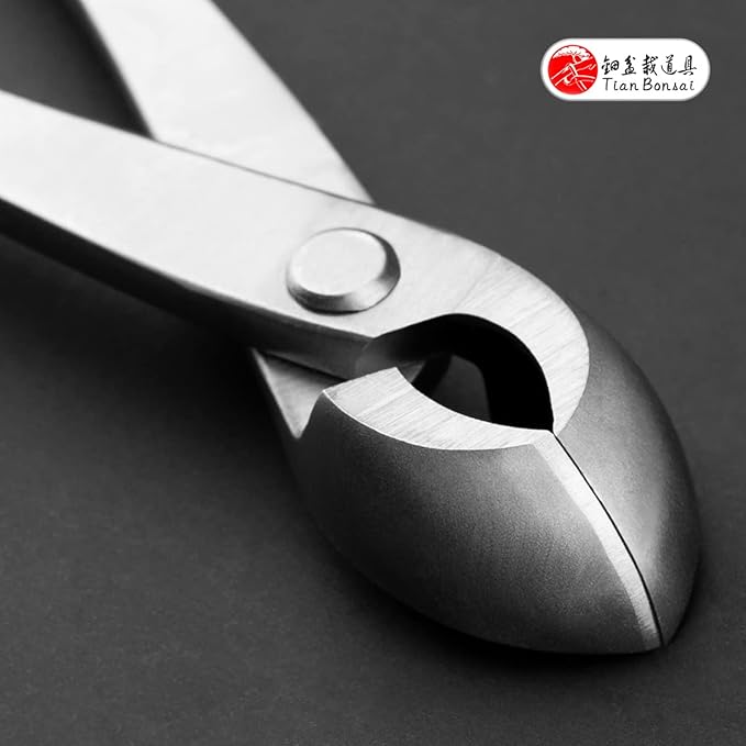 205MM Bonsai Round Edge Cutter Professional Grade Branch Cutter Alloy Steel Bonsai Tools Equip With Tool Bag (MTS-12)