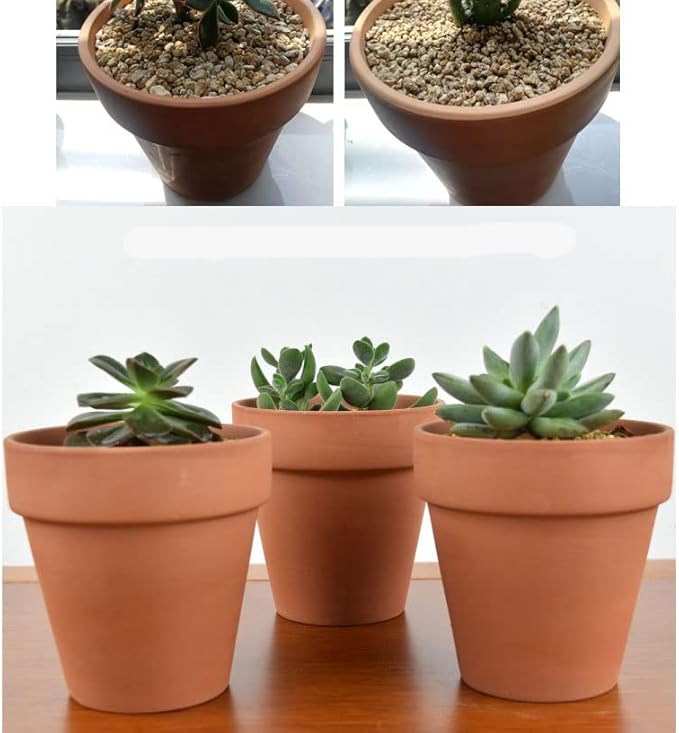 OLEEP Clay Pot - 12 Pack Large Terra Cotta Plant Pot with Drainage Hole, Clay Planters Pot, Terracotta Pot for Indoor Outdoor Plant (4.7 inch)