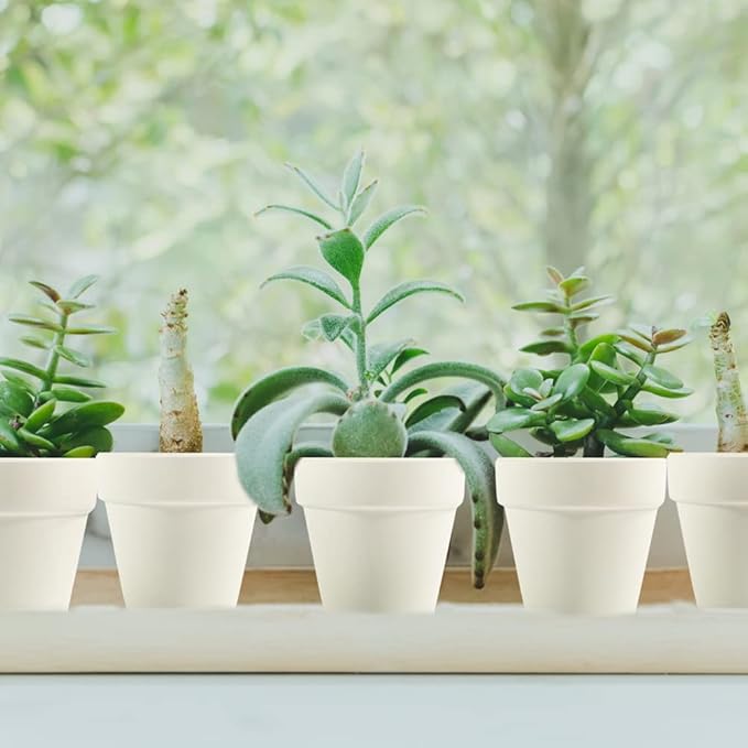 3 Inch Terracotta Pots - 22Pack Clay Flower Pots with Drainage Hole, Succulent Nursery Pot/Cactus Plant Pot. Great for Plants, Crafts, Wedding Favorn, DIY Production (White)