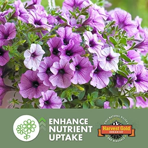 Organic Soil Conditioner, Natural Soil Amendment for Houseplants, Flowers, Lawns, Gardens and Trees, Provides Natural Silica and Micronutrients for Plants (15 Pound Bag)