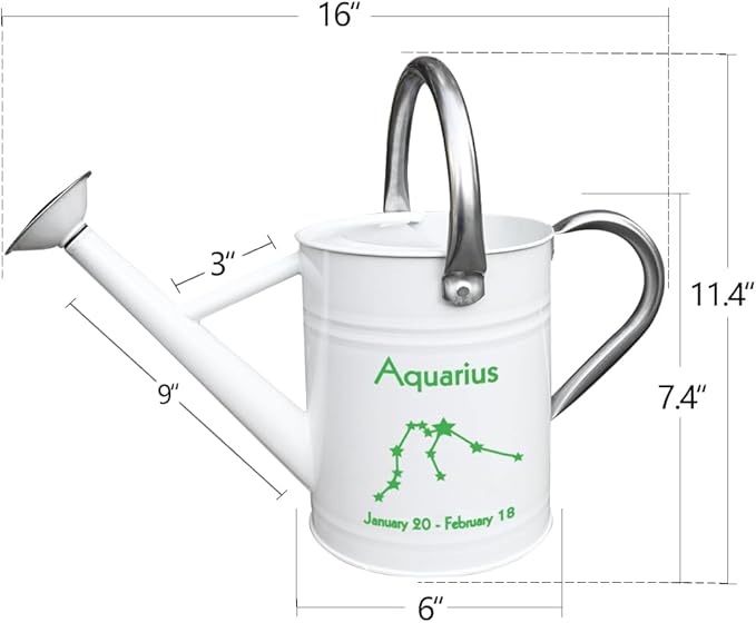 Metal Watering Can for Outdoor and Indoor Plants, Watering Can Decor, 1 Gallon (Aquarius)