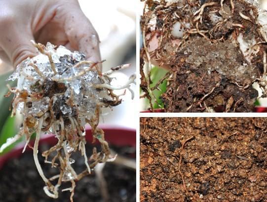 Water Storing Crystal Soil Additive Commercial Grade (2)