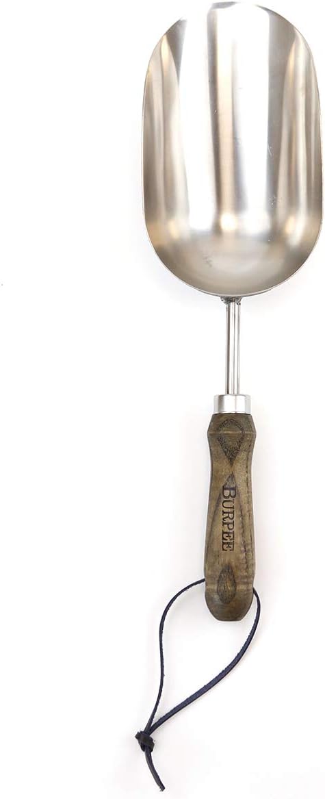 Burpee 15" Stainless Steel Soil Scoop | Durable Long Lasting Garden Tool | Leather Wrist Strap 5" Handle, Walnut