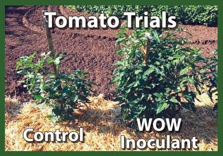 Wallace Organic Wonder, Soil and Plant Booster