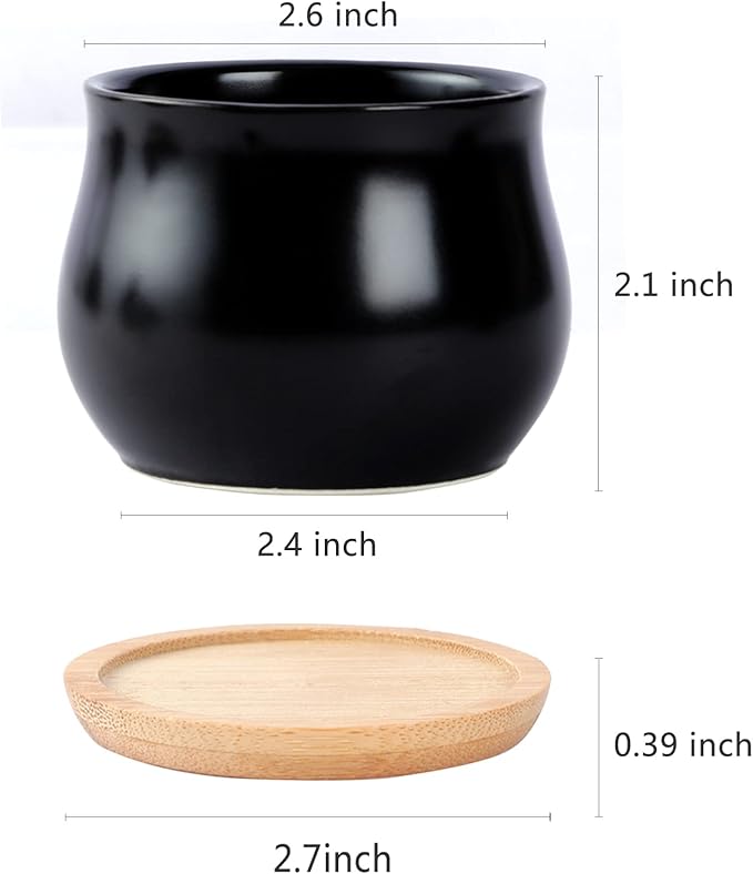 8 Pack Succulent Plant Pot, Matte Black Mini 2.6 inch Ceramic Flower Planter Pot with Bamboo Tray, Small Pots for Plants, Plants Not Included