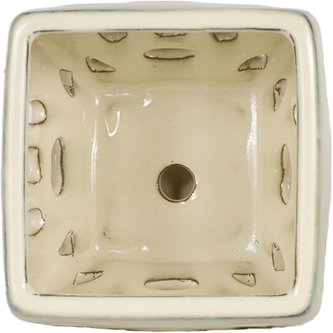 W&W Orchid Pot with Holes and Saucer for Repotting, Cream White, 5.5 Inches