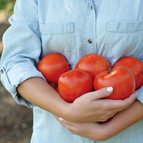 Park Seed Variety of Tomato Vegetable Seeds, Plant Seeds, Easy to Grow, Perfect for Harvesting, Park's Legacy, Pack of 20