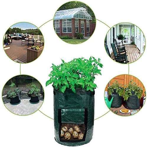 Potato Grow Bags,(5 Pack 10 Gallon) Garden Vegetables Growing Planter with Handles and Access Flap for Planting Potato Carrot Onion Taro Radish Peanut,