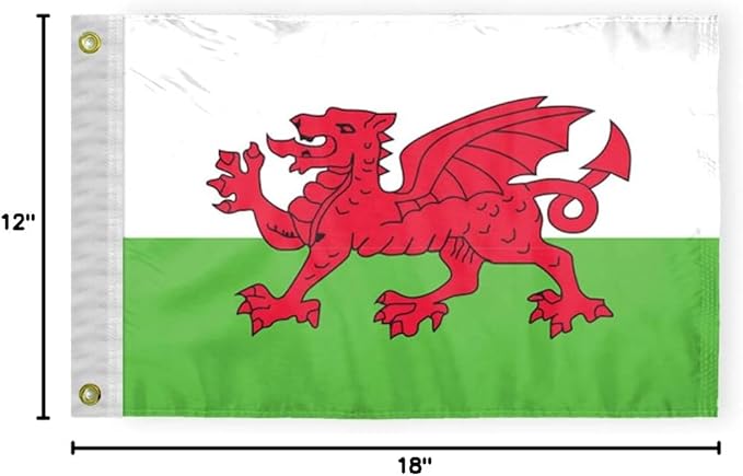 AGAS Wales Nautical Flag 12x18 inch Mini Welsh National Flag Outdoor 200D Nylon Double Stitched Hem