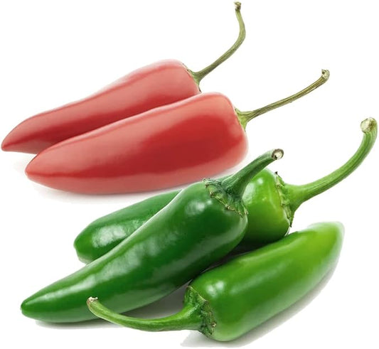 2025 EarlyBird-Pepper Seeds for Planting, Green and Red Bell Pepper Seeds, Non-GMO Heirloom Seeds Vegetable Seeds for Home Vegetable Garden and Hydronic Pods.USA (50ct Jalapeno Hot Pepper Seeds)