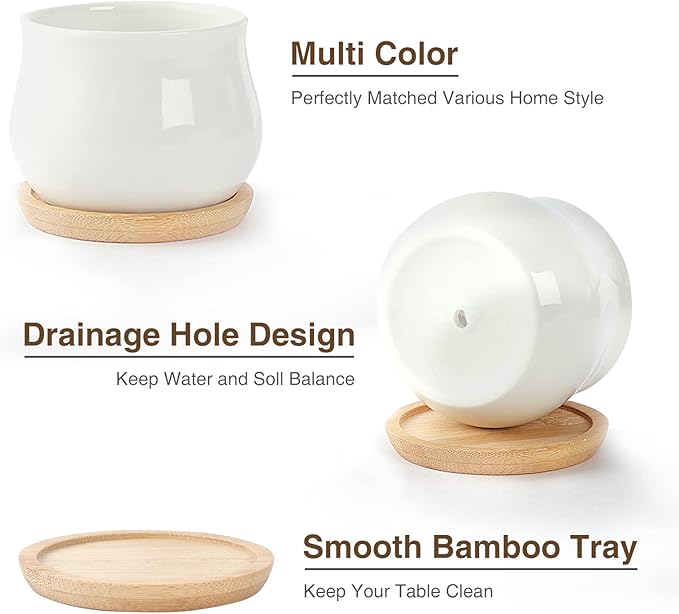 12 Pack Succulent Plant Pot, Mini 2.6 inch Ceramic Flower Planter Pot with Bamboo Tray, Small Pots for Plants, Plants Not Included (White, Black)