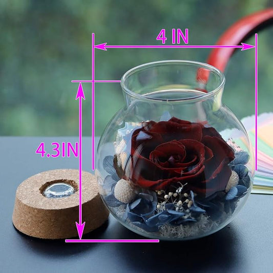 Preserved Real Roses with Colorful Mood Light Wishing Bottle,Eternal Rose,Never Withered Flowers,for Bedroom Party Table Decor, Anniversary,Valentine's,Mother's Day,a Gifts for Women (Burgundy)