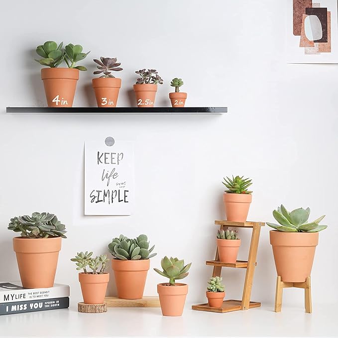 Terracotta Pots 4 inch, Pack of 12 Clay Pots for Plants, Small Terracotta Pots with Drainage Holes and Saucers, Mini Nursery Plant Pots for Succulents, Cactus, Indoor,Outdoor