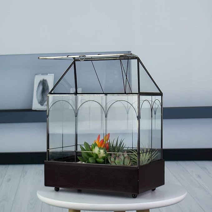 Large Tall Glass Plant Terrarium – House Succulent Terrarium Kit with Lip and Tray, 9.5”X5.7”X11.4”