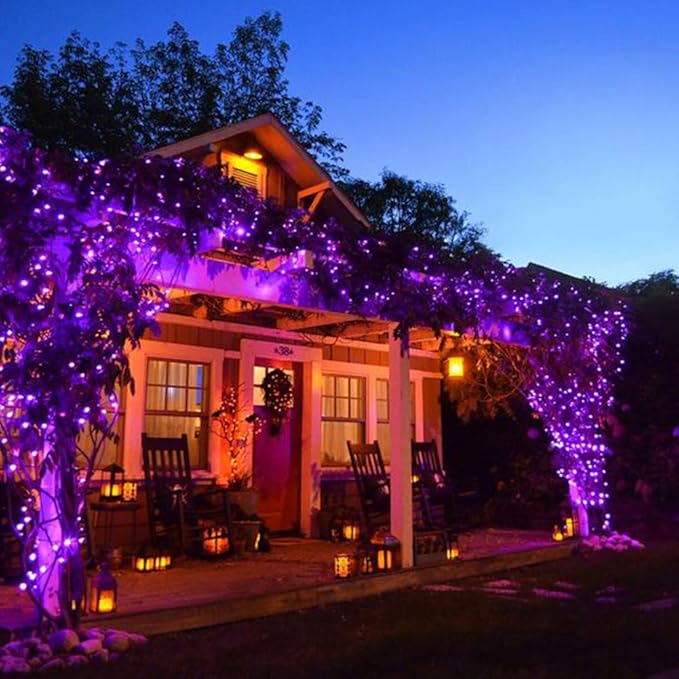 C7 String Lights,25FT Black Halloween Christmas String Lights for Outdoor Indoor Use,25 Clear C7 Black Bulbs String Light-Black Wire