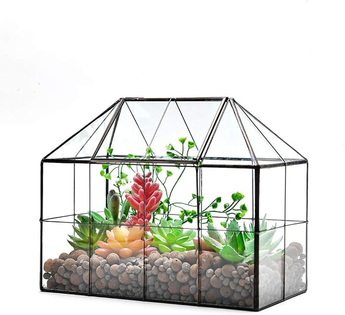 Large Glass Terrarium House Planter – Succulent Plant Glass Greenhouse with lid 9.8"X7.9"X5.9" NA