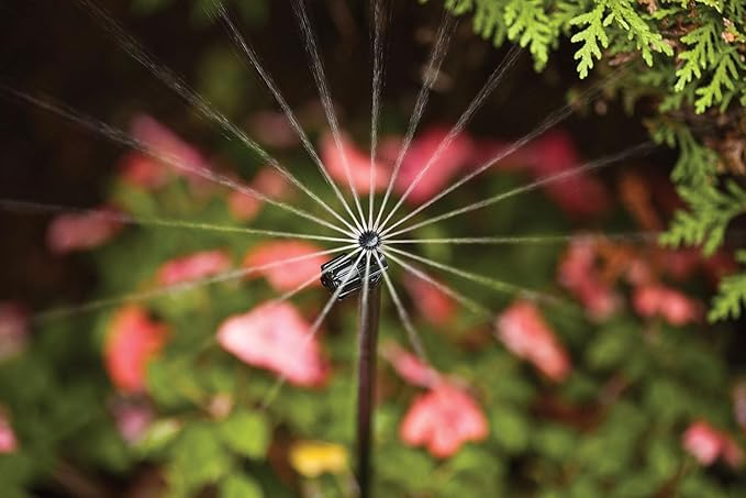 Rain Bird MSF2PKS Drip Irrigation 10-32 Threaded Micro-Spray Nozzle, 360° Full Circle Pattern, 0 - 10' Spray Distance, 2-Pack
