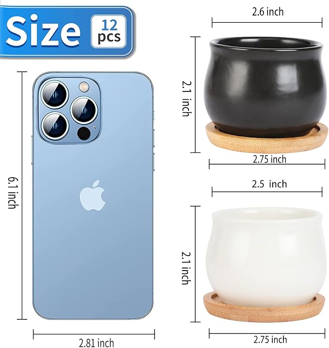 12 Pack Succulent Plant Pot, Mini 2.6 inch Ceramic Flower Planter Pot with Bamboo Tray, Small Pots for Plants, Plants Not Included (White, Black)