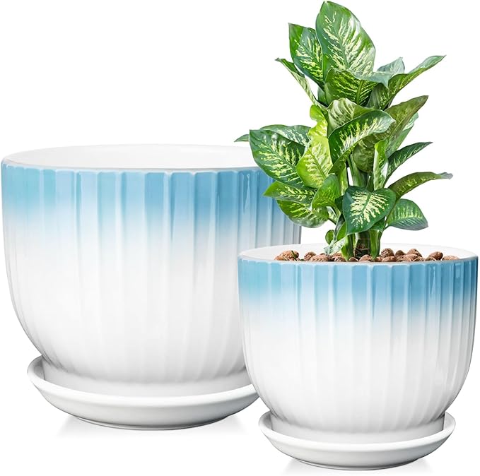 6.7 + 5.5 Inch Plant Pot, Ceramic Planter with Drainage and Saucer, Ceramic Pots for Plants, Indoor Plant pots,Ceramic Flower pots(Blue + White, Plants NOT Included)