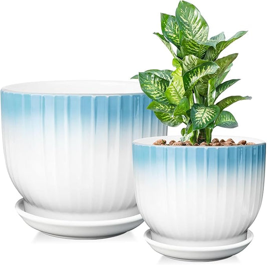 6.7 + 5.5 Inch Plant Pot, Ceramic Planter with Drainage and Saucer, Ceramic Pots for Plants, Indoor Plant pots,Ceramic Flower pots(Blue + White, Plants NOT Included)