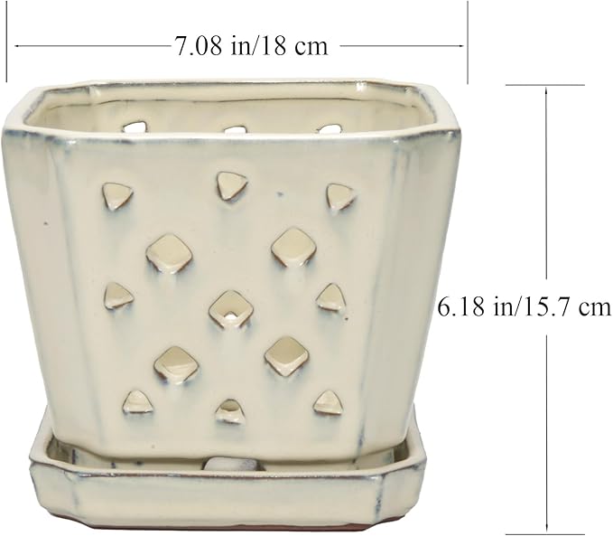 W&W Orchid Pot with Holes and Saucer for Repotting and Better Grow, Cream White, 7 Inches