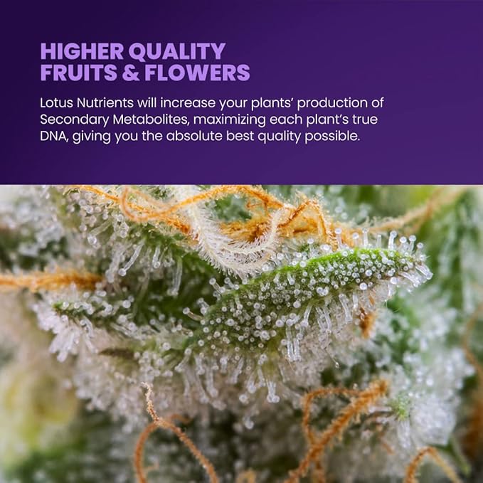 32oz Complete Bloom and Yield Enhancer for Flowering Plants - Naturally Derived Water Soluble Premium Powdered Nutrients Ideal Fertilizer for Soil, Hydroponic, and Coco Coir Indoor and Outdoor Grows