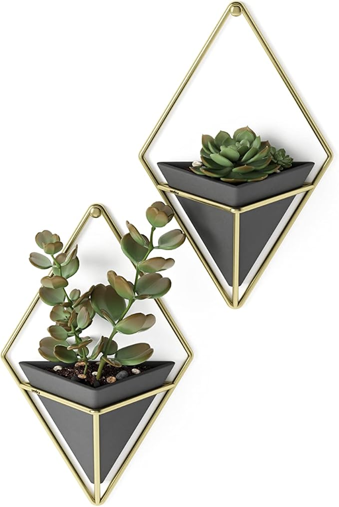 Umbra Trigg Hanging Planter Vase Wall Decor, Set of 2 Pots Containers for Succulents, Cactus, Faux Plants, and More, Small, Black/Brass