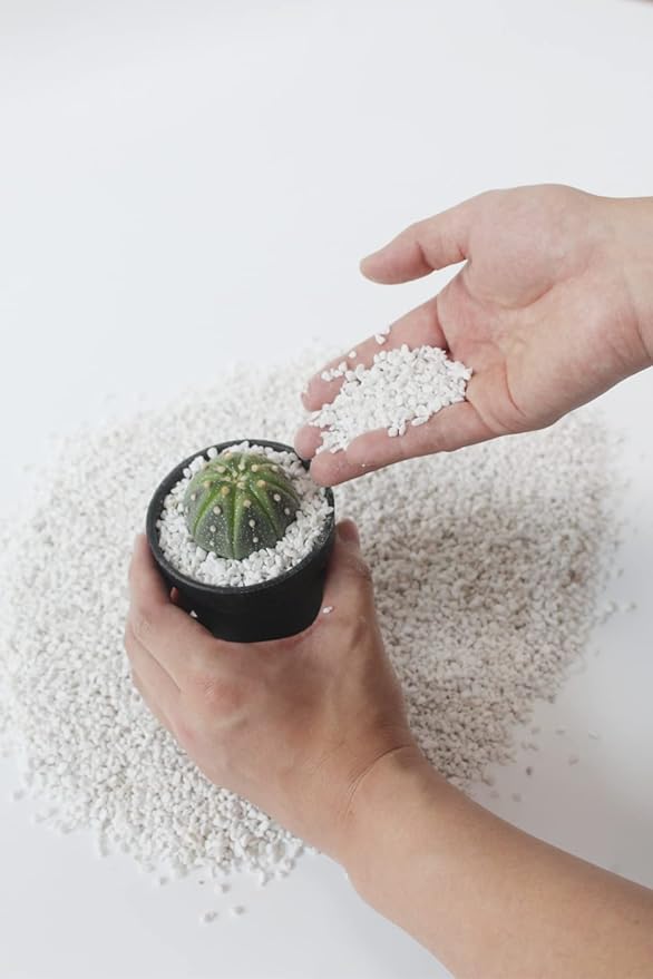 20 Quart Organic Perlite Horticultural Soil Amendment for Plants and Enhanced Drainage Enhanced Growth