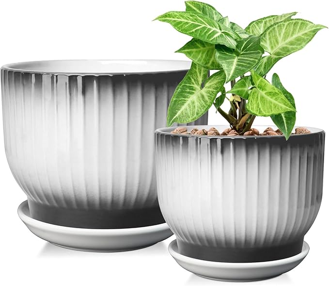 6.7 + 5.5 Inch Plant Pot, Ceramic Planter with Drainage and Saucer, Ceramic Pots for Plants, Indoor Plant pots,Ceramic Flower pots(Black + White, Plants NOT Included)