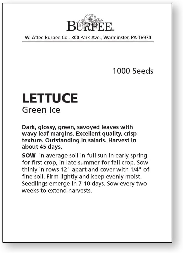 Burpee Green Ice Lettuce Seeds 1000 seeds