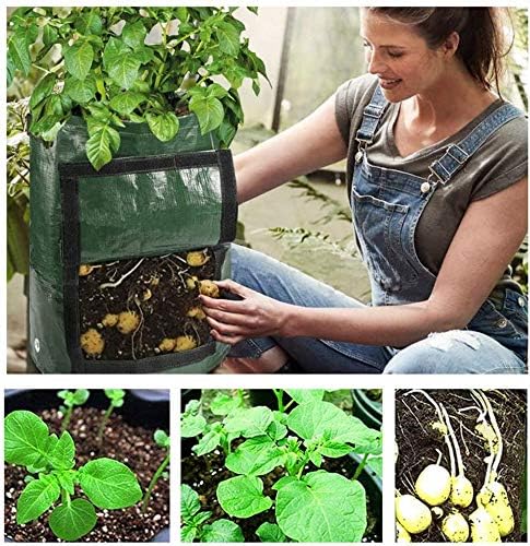 Potato Grow Bags,(5 Pack 10 Gallon) Garden Vegetables Growing Planter with Handles and Access Flap for Planting Potato Carrot Onion Taro Radish Peanut,