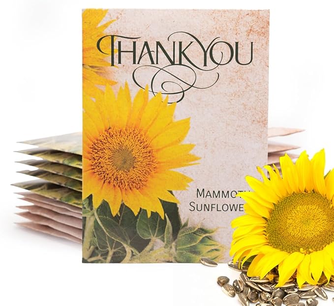 Bentley Thank You Packet - Sunflower Seeds - Pack of 25 - Perfect Eco-Friendly Thank You Gift - Non GMO