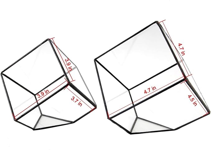 ELEGANTLIFE Glass Geometric Plant Terrarium Container, Flower Pot Tabletop Planter Decor Glass Display Box Succulent & Air Planter for Home Garden Office Decoration(Black Cubic Set of 2)