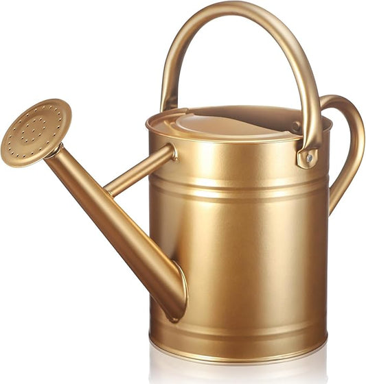 Watering Can for Outdoor Plants and Indoor Plants,1 Gallon Metal Watering Can for Garden Flower,Galvanized Steel Metal Water Can Watering Pot with Sprinkler Head