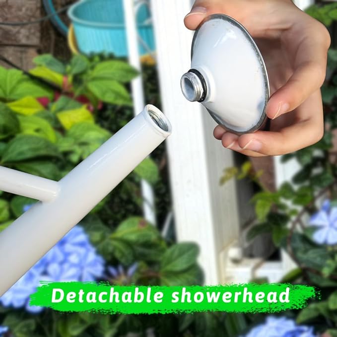 Metal Watering Can for Outdoor and Indoor Plants, Watering Can Decor, 1 Gallon (Gemini)