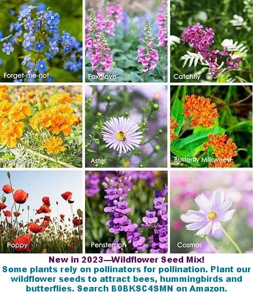 2025 Early Bird-Hot Pepper Seeds for Planting,Non-GMO Heirloom Seeds Vegetable Seeds,Asian Chile Pepper Seeds for Home Vegetable Garden & Hydronic Pods,泰国小米椒(50ct Veggie Seeds-Thai Bird)