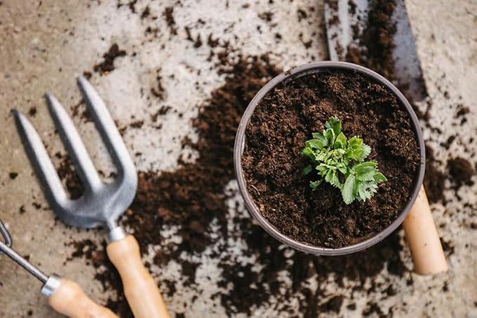 Premium Celery Potting Soil Mix - Optimal Nutrient-Rich Blend for Thriving and Crisp Celery Plants - 20 Quart