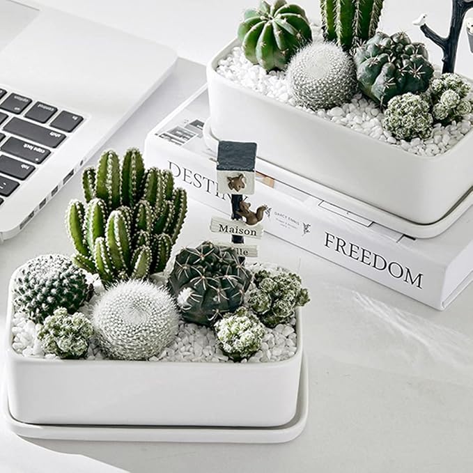 Anothera 7LB Succulent and Cactus Bonsai DIY Rocks, White Onyx, Gravel for Terrarium, Fairy Gardening, Top Dressing,(6mm-8mm)